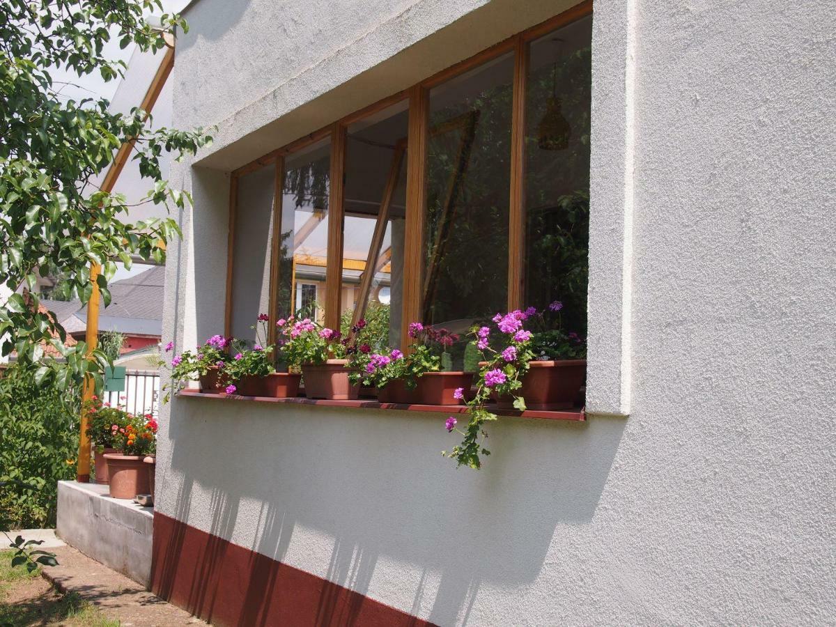 Deel Apartman Nyíregyháza Εξωτερικό φωτογραφία